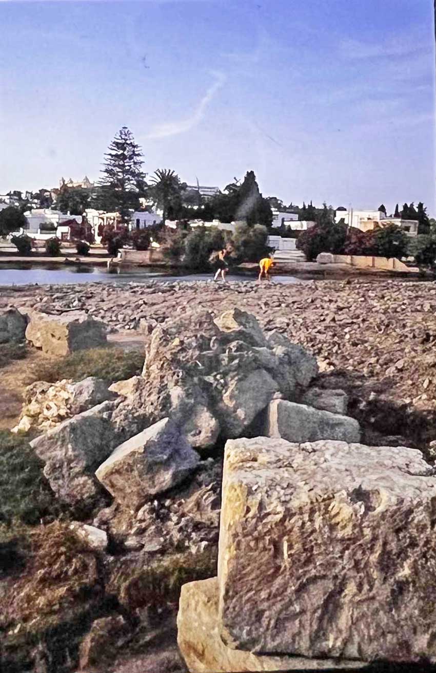 View from the circular island the middle of the Punic Harbour: in the background, Chrissie and Paul are examining   scatters of pottery and other ancient debris.
