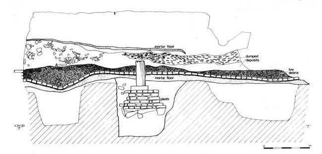 Section drawing showing debris deposits overlying carbonised laver sealing cellar floor  (C. Harrison)