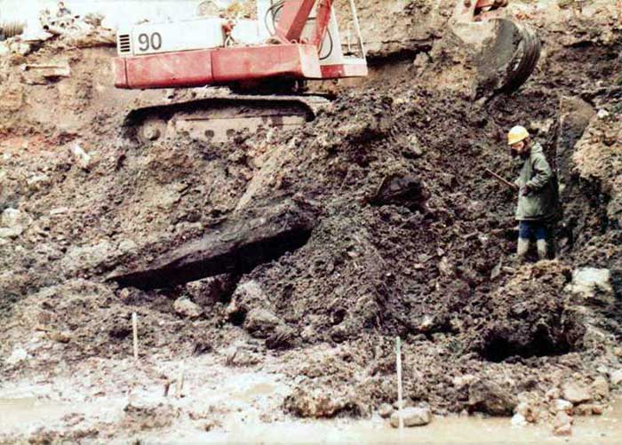 Louise on a Watching Brief