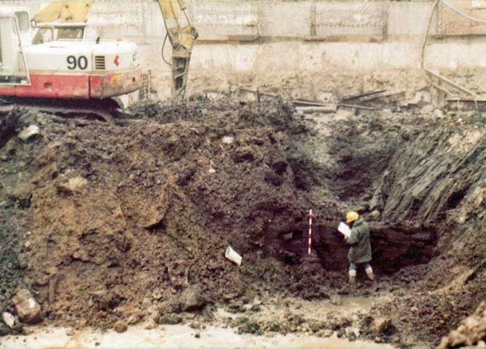 Louise getting the measure of things