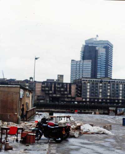 Pre Excavation - From Gill Craddock (Scarlett)